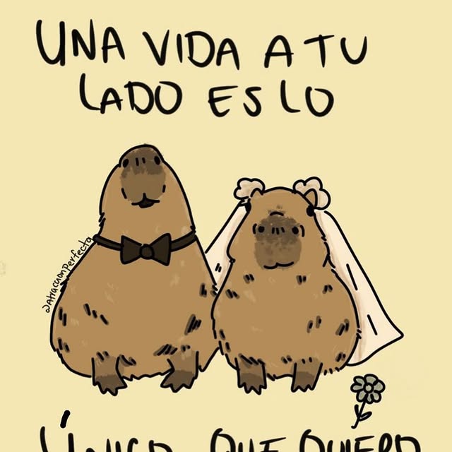  ........nperfecta   'recent posts' 