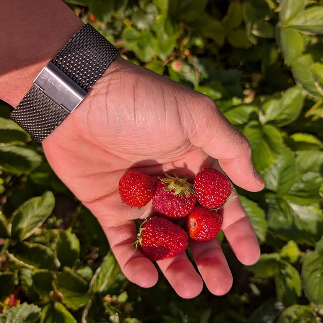  ......sweden   'recent posts' 