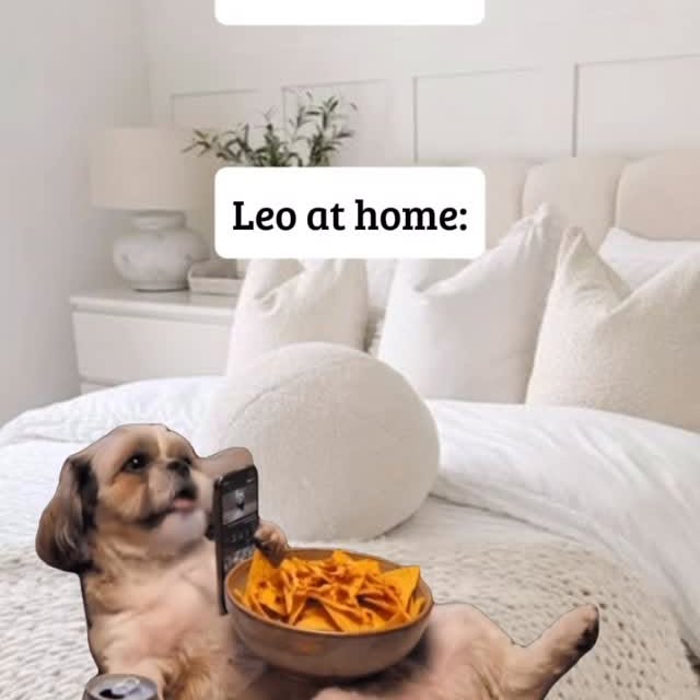  ......forleos   'recent posts' 