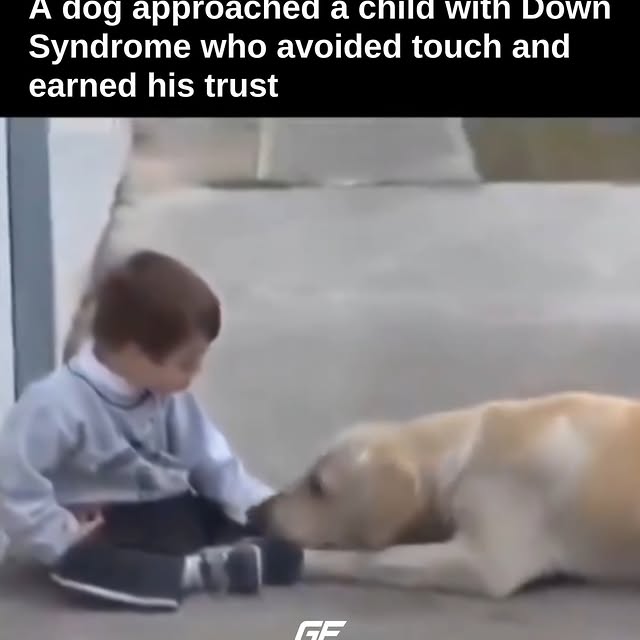  .......eagle   'recent posts' 