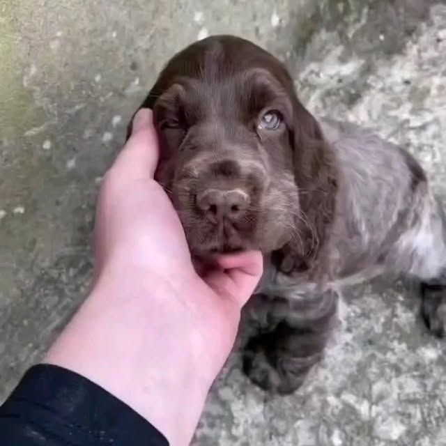  ......ofinsta   'recent posts' 