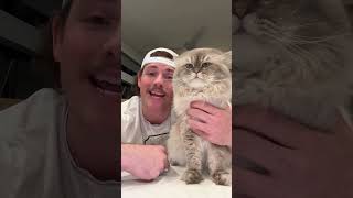  ......ricals  'recent videos' 