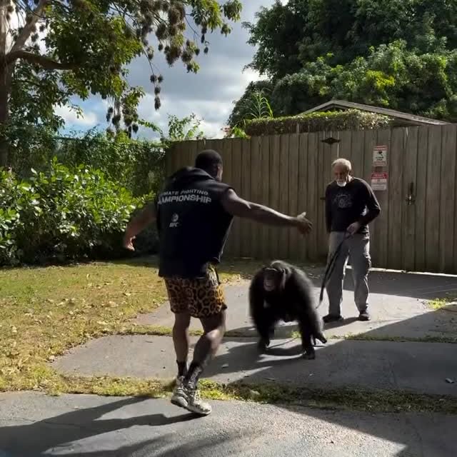  ...urre   'recent posts' 