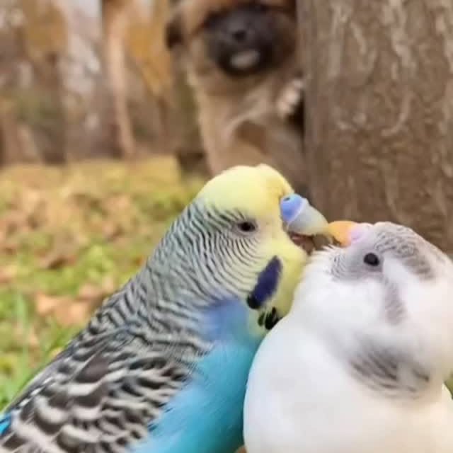  ....retie   'recent posts' 