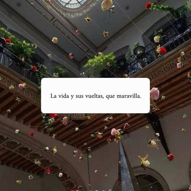  ......oencafe   'recent posts' 