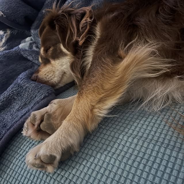  .....og2020   'recent posts' 