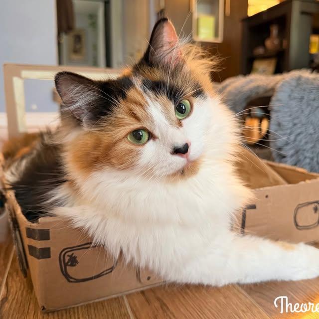  .........tofficial   'recent posts' 