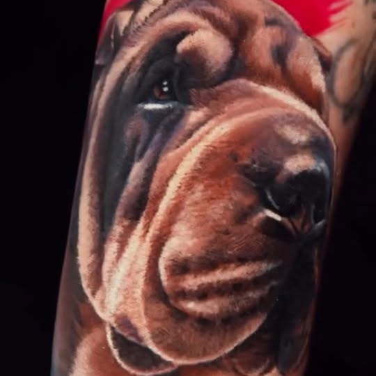  ......i.world   'recent posts' 