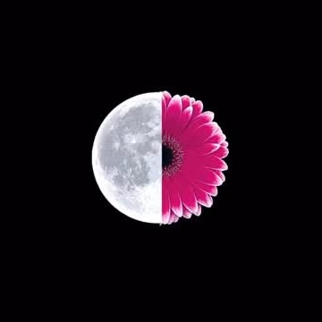  ....4u.in   'recent posts' 