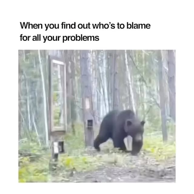  ........oundation   'recent posts' 