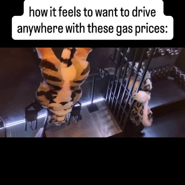  ....._clipz   'recent posts' 