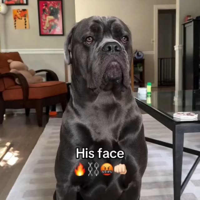  .........pet_world   'recent posts' 