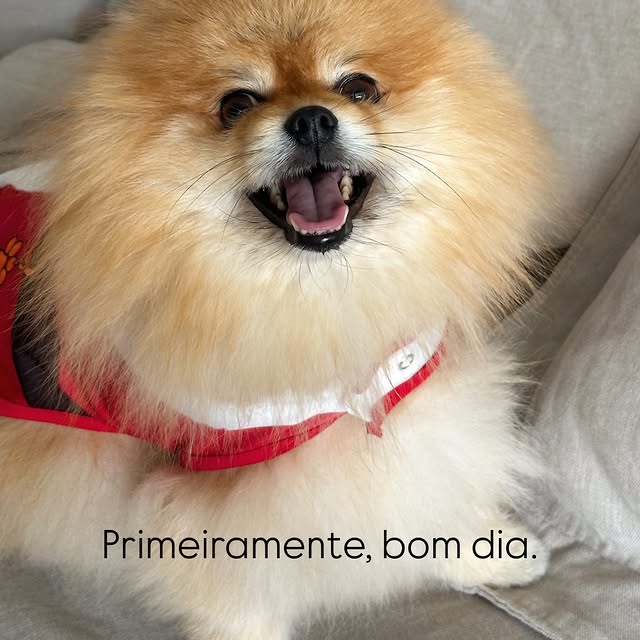  ....ia.ju   'recent posts' 