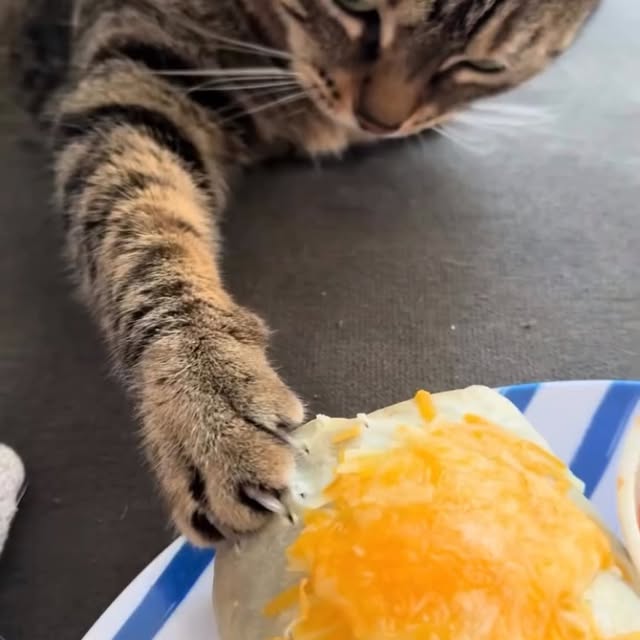  .......sinhome   'recent posts' 