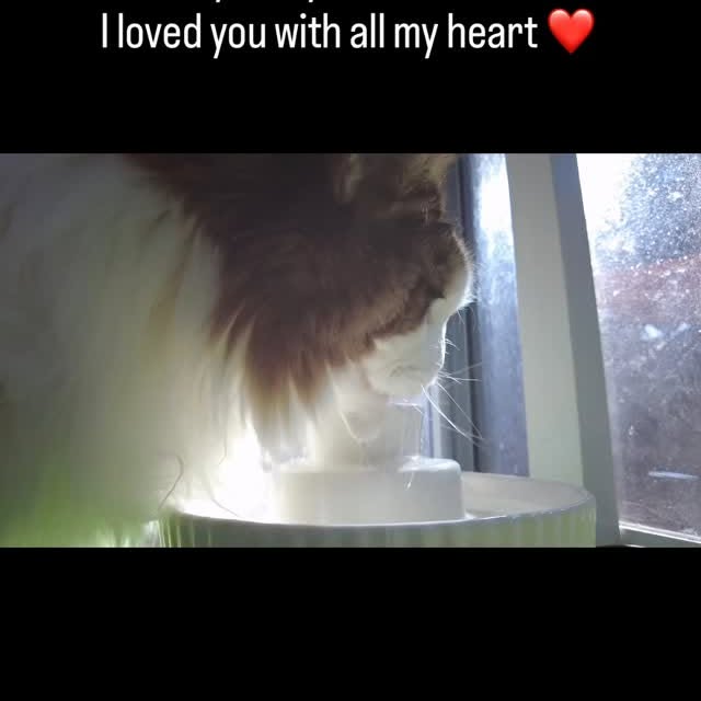  ......adamus   'recent posts' 