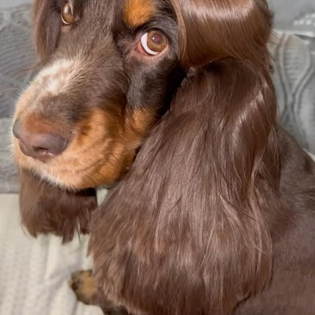  ......ofinsta   'recent posts' 