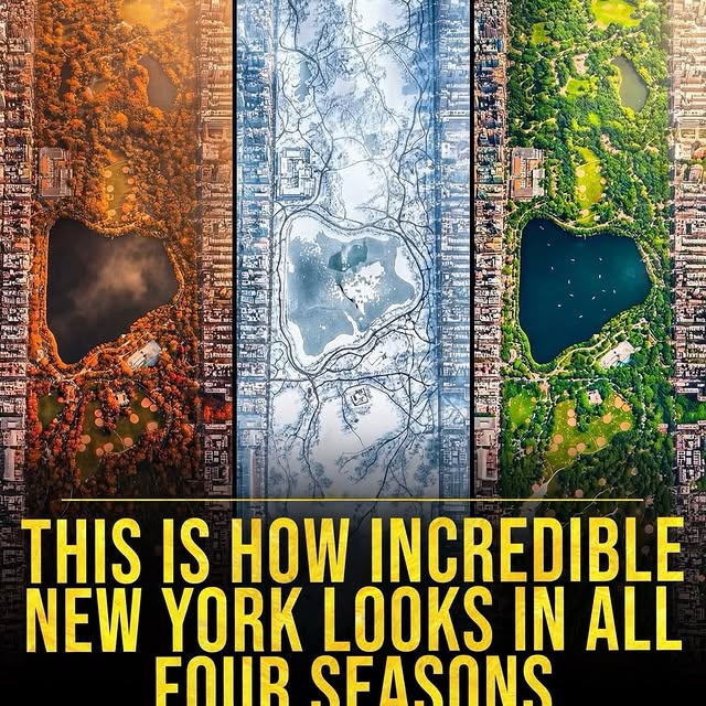  ....vita   'recent posts' 