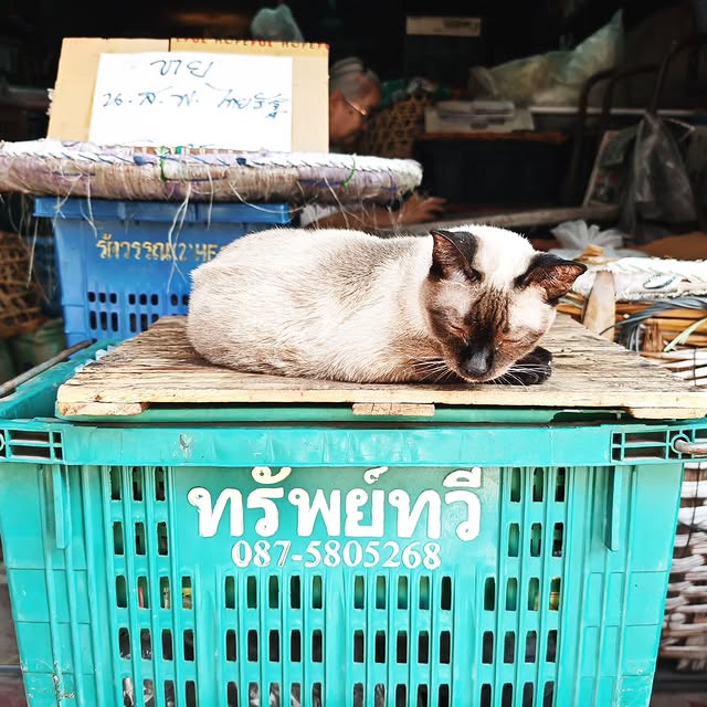  .....uslong   'recent posts' 