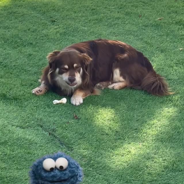  .....og2020   'recent posts' 