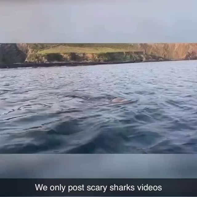  .........arkattacks   'recent posts' 