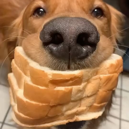  ..........ieverworldo   'recent posts' 