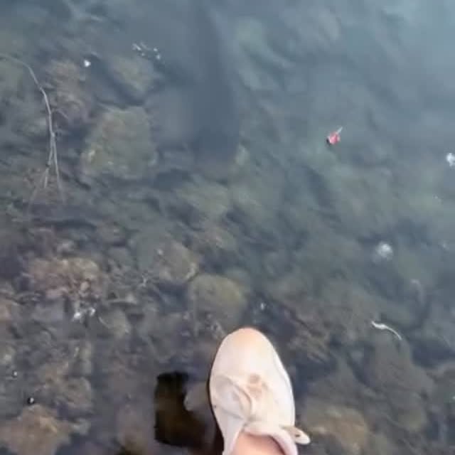  ..........ylefishing   'recent posts' 