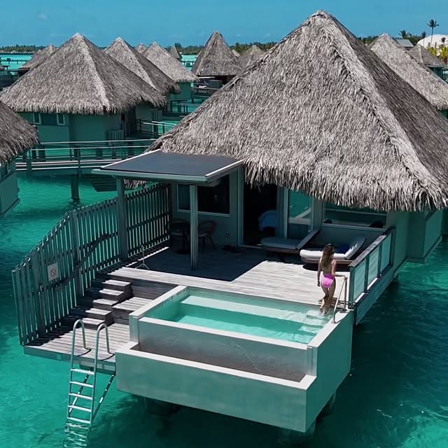  ......edustin   'recent posts' 