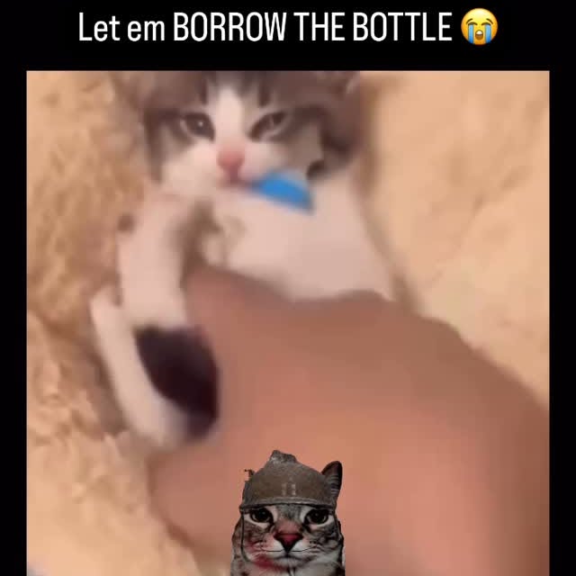  ....eowsy   'recent posts' 