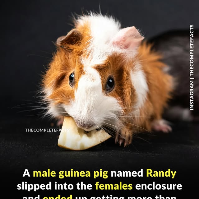  ........etefacts   'recent posts' 