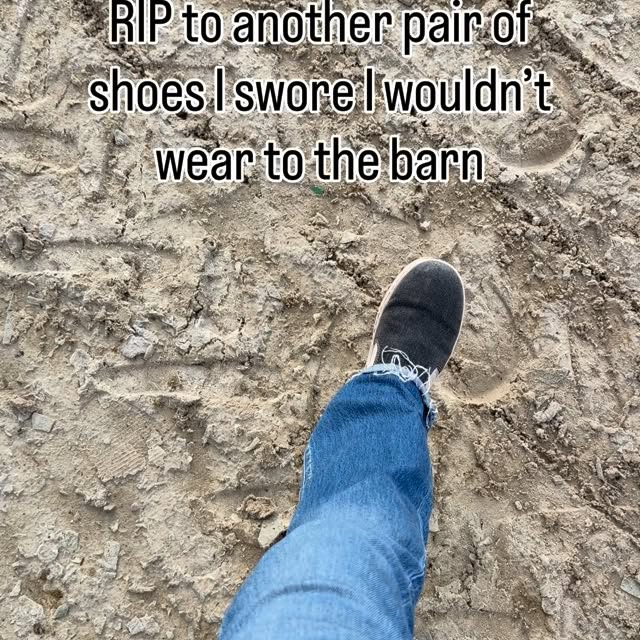  .....hulse   'recent posts' 