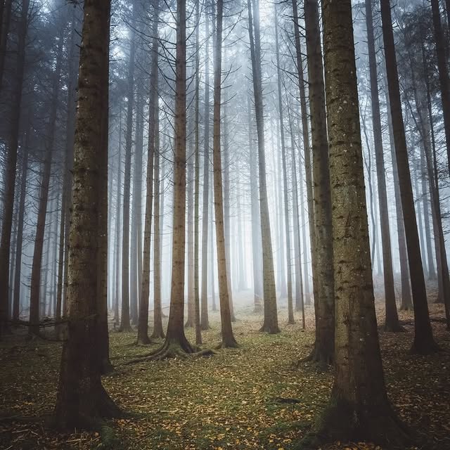  ........vacations   'recent posts' 