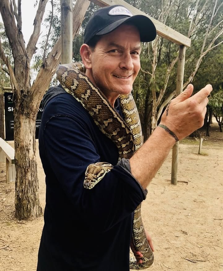 Hire ......esheen influencer with 6.1m