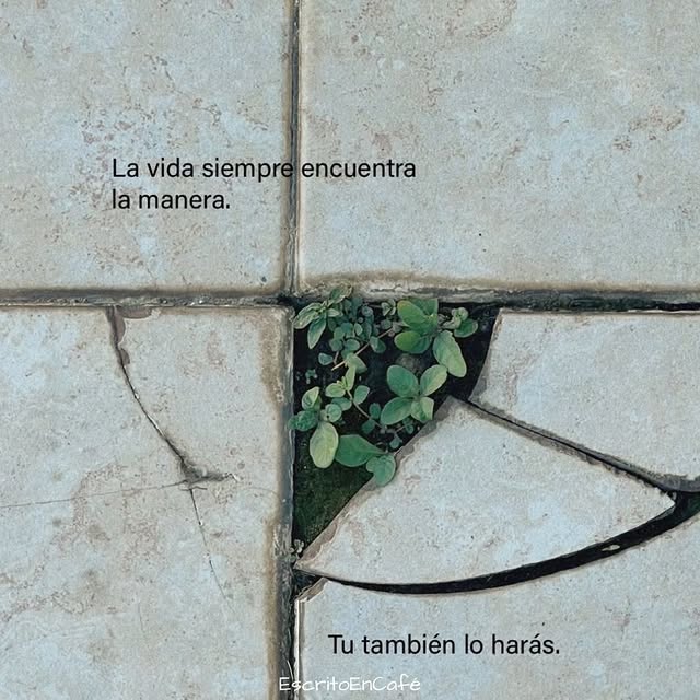  ......oencafe   'recent posts' 