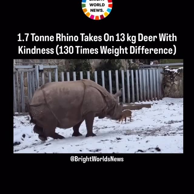  ........rldsnews   'recent posts' 