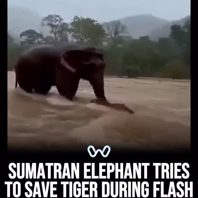  ........alth_club   'recent posts' 