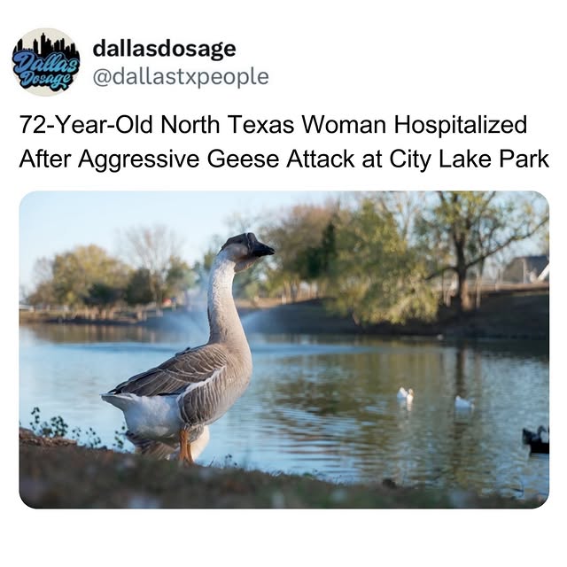  ......dosage   'recent posts' 