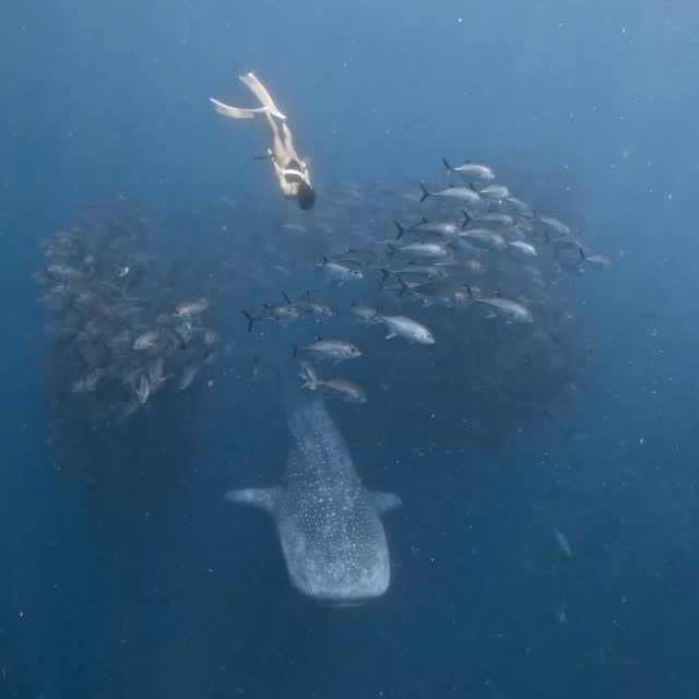  ......uecoast   'recent posts' 