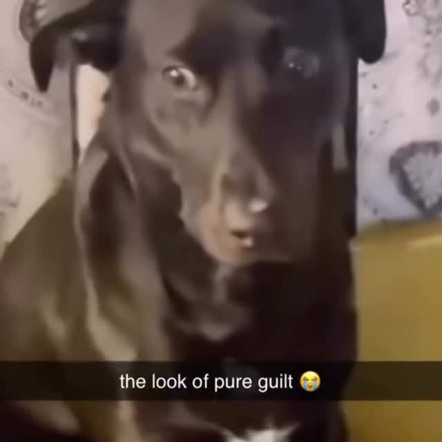  ....fday   'recent posts' 