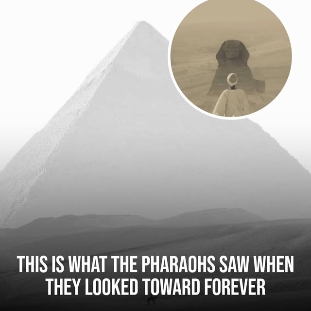  .....ervor   'recent posts' 