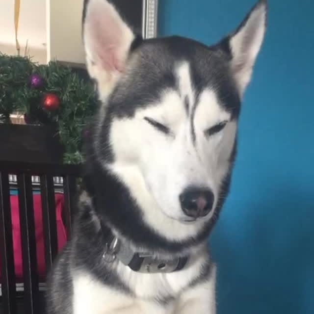  .....tmiles   'recent posts' 