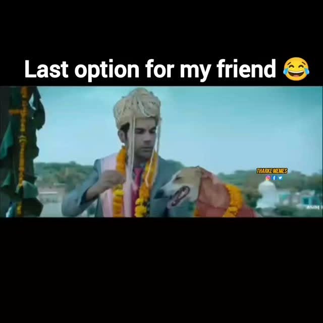  ......__memes   'recent posts' 