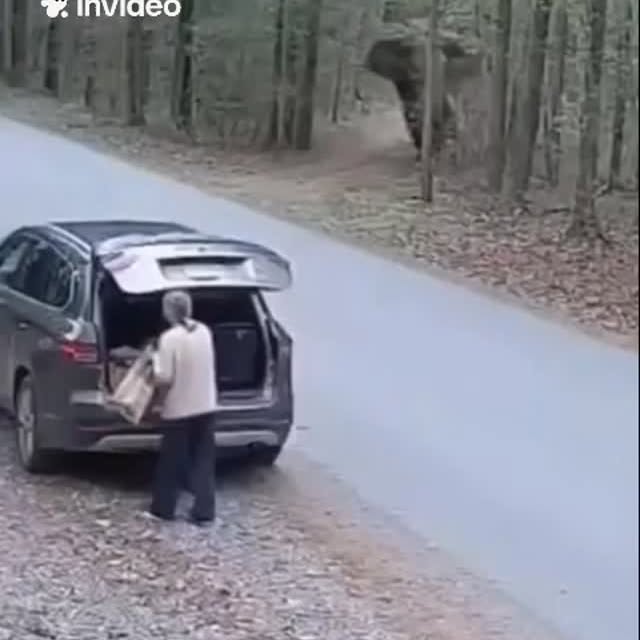  .....nly.ai   'recent posts' 