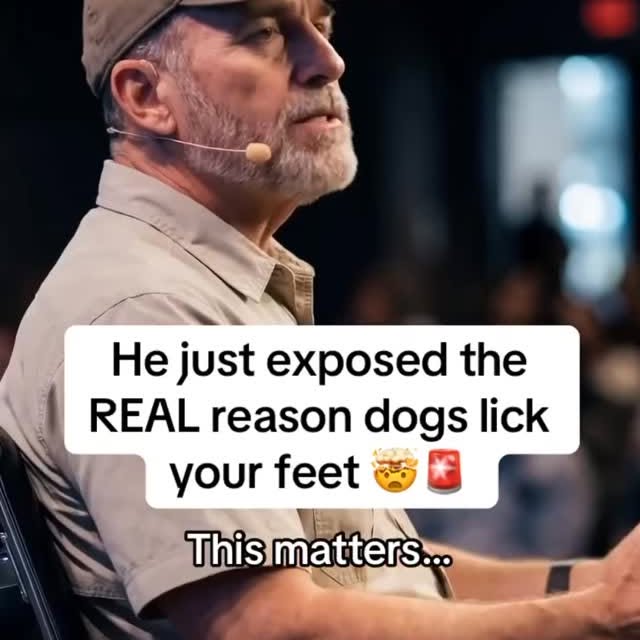  ..........n.retriever   'recent posts' 