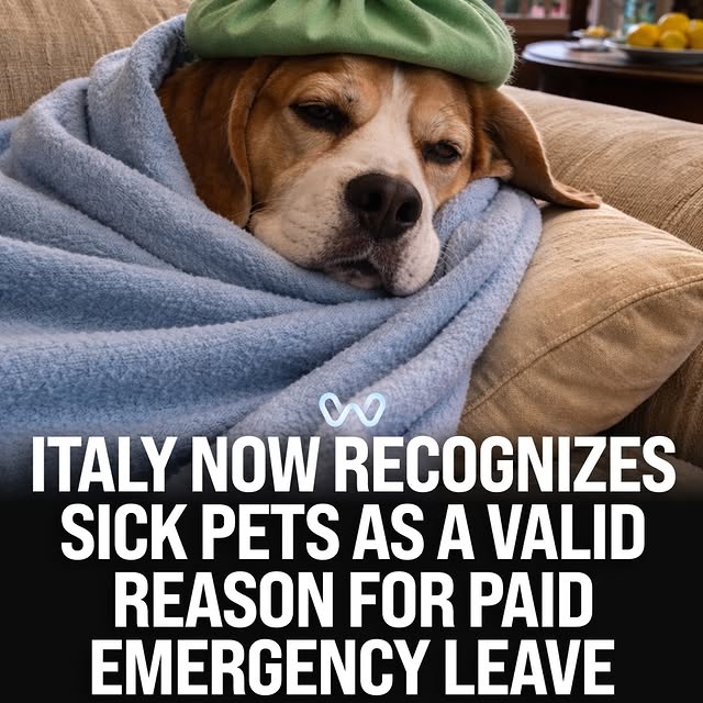  ........alth_club   'recent posts' 