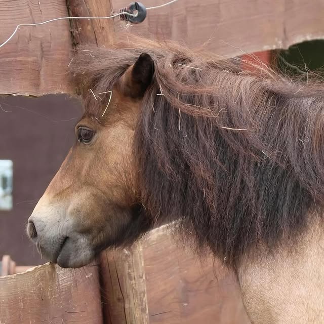  ......fehood   'recent posts' 