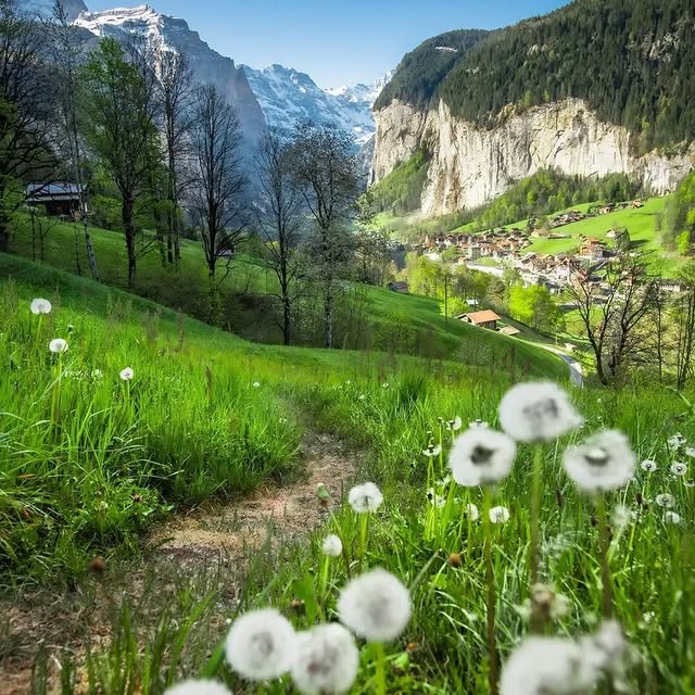  .......radises   'recent posts' 