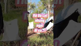  ..nTV  'recent videos' 