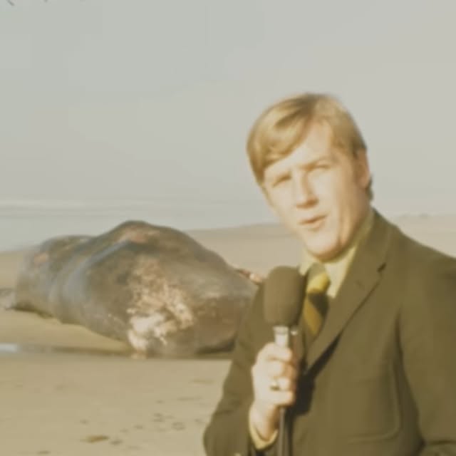  ....eird   'recent posts' 