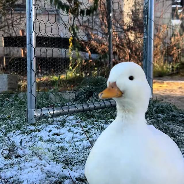  ........ckstatue   'recent posts' 