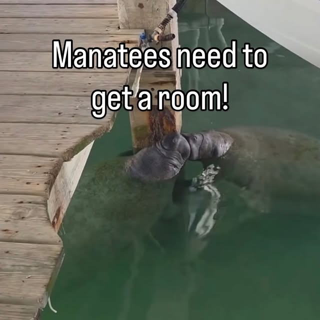  .....lorida   'recent posts' 